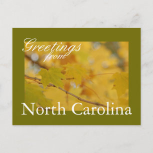 North Carolina Herfst Briefkaart
