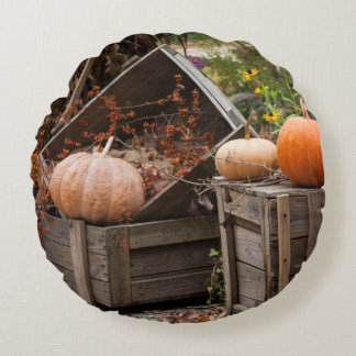 North Carolina, Linville, herfstpompoenen Rond Kussen