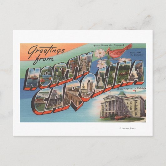 North Carolina (State Flower/Bird) Briefkaart (Voorkant)