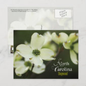 North Carolina State Flower: Dogwood bloem Briefkaart (Voorkant / Achterkant)