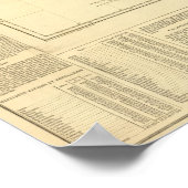 North Carolina US Poster (Hoek)