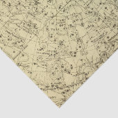 North Celestial Hemisphere Tissuepapier (Detail)