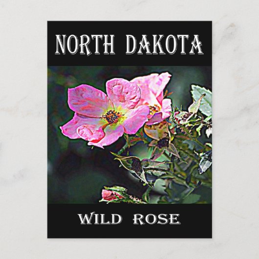 North Dakota Wild Roos Briefkaart (Voorkant)