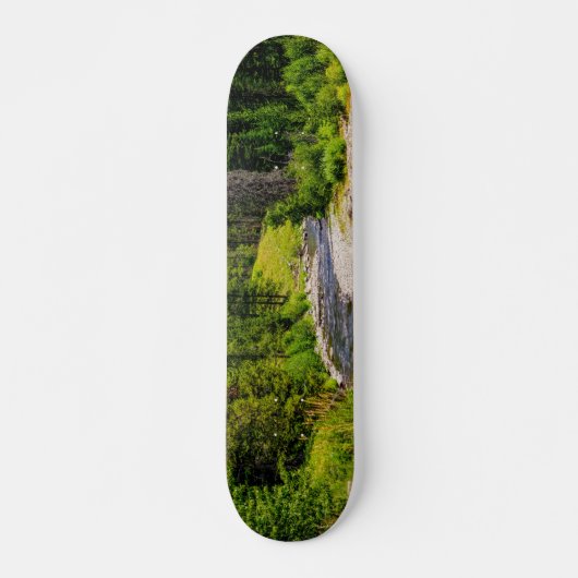 North Fork Shoshone River Skateboard (Devant)