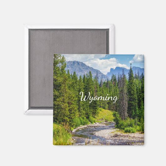 North Fork Shoshone River Square Magnet Magneet (Voorkant / Achterkant)