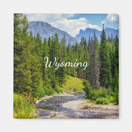 North Fork Shoshone River Square Magnet Magneet (Voorkant)