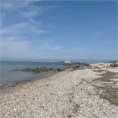 North Fork Sound Custom-Cut Vinyl Sticker (Devant)