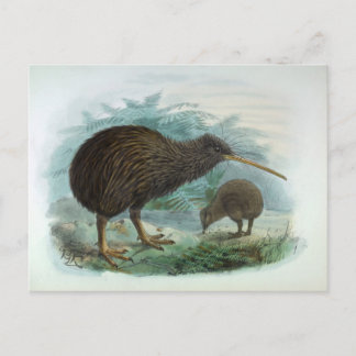 North Island Brown Kiwi Bird Illustration Briefkaart