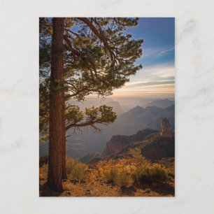 North Rim Sunrise Briefkaart