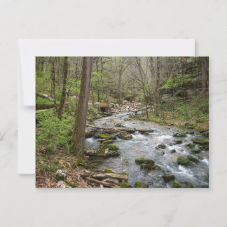 North Sylamore Creek Briefkaart