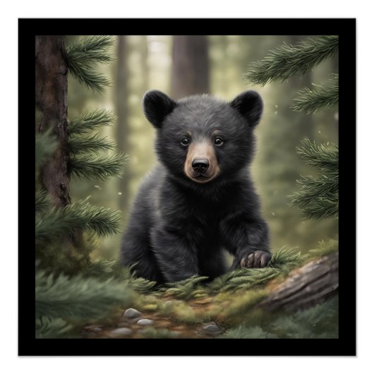 North Woods Little Black Bear Cub Poster brillant (Devant)