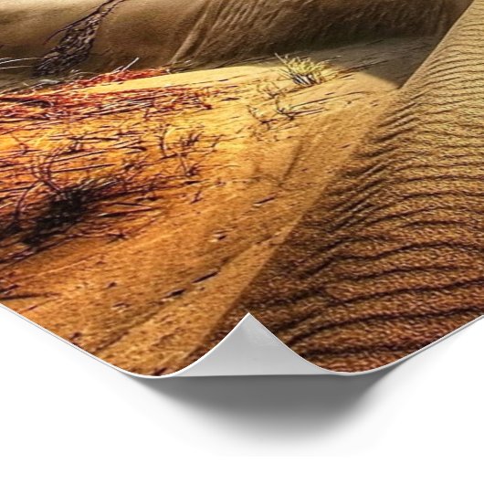 North Zee Dunes Poster (Hoek)