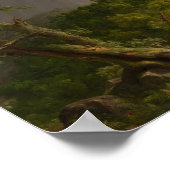 Northampton Massachusetts na een storm Poster (Hoek)