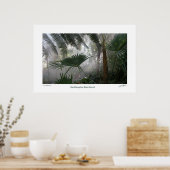 Northampton Rain Forest I Poster (Keuken)