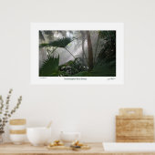 Northampton Rain Forest II Poster (Keuken)