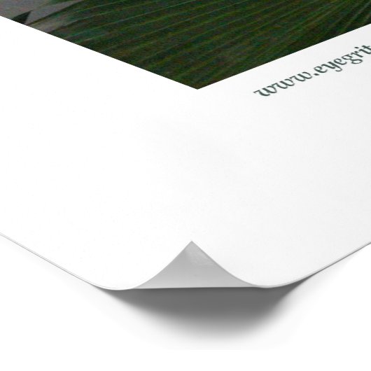 Northampton Rain Forest II Poster (Hoek)