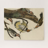 Norther Flicker van Audubon's Birds of America Legpuzzel (Horizontaal)