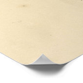 Norther Parula van de Amerikaanse vogels van Audub Poster (Hoek)