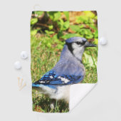 Northern Blue Jay Golfhanddoek (Insitu)