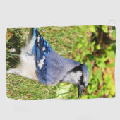 Northern Blue Jay Golfhanddoek (Horizontaal)