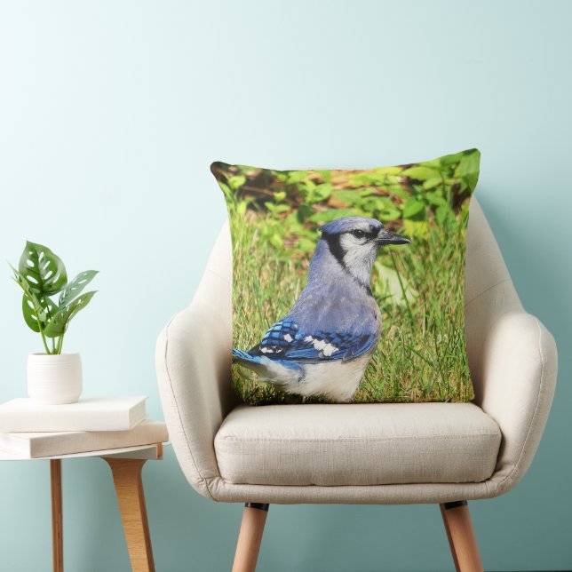 Northern Blue Jay Kussen (Stoel)