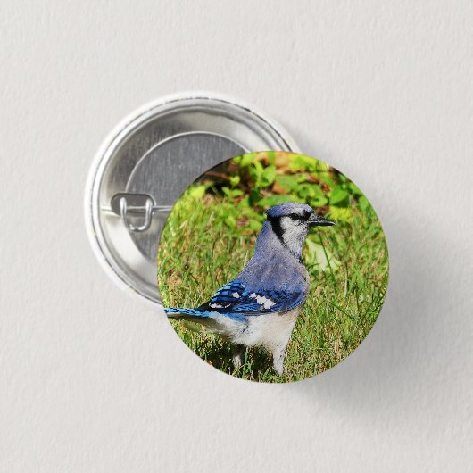 Northern Blue Jay Ronde Button 3,2 Cm (Voorkant /achterkant)