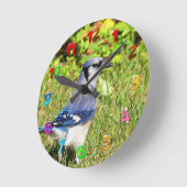 Northern Blue Jay Ronde Klok (Hoek)