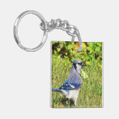 Northern Blue Jay Sleutelhanger (Voorkant Links)