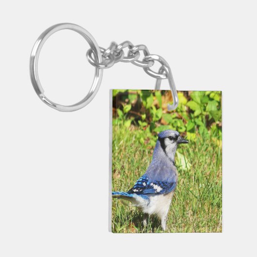 Northern Blue Jay Sleutelhanger (Voorkant Links)
