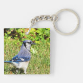 Northern Blue Jay Sleutelhanger (Achterkant)