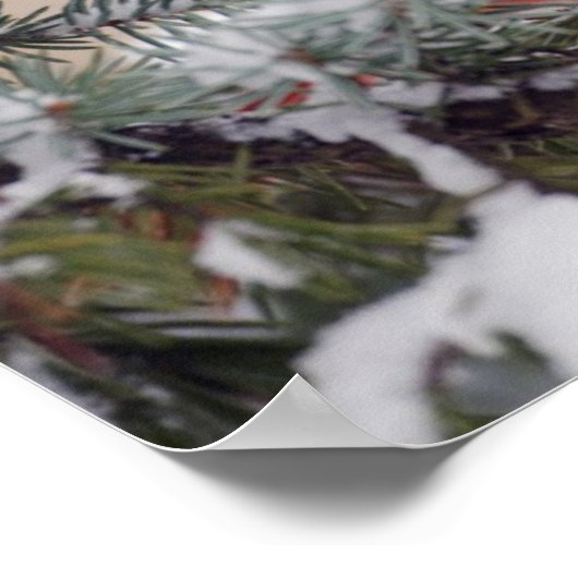 Northern Cardinal Perched In A Tree Poster (Hoek)