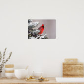 Northern Cardinal Perched In A Tree Poster (Keuken)