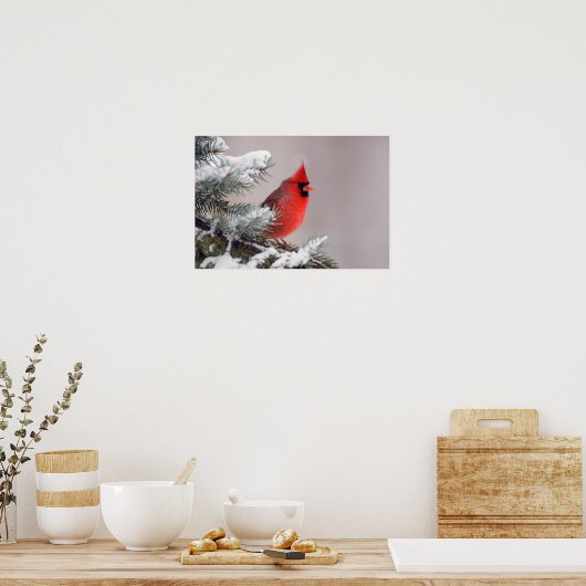 Northern Cardinal Perched In A Tree Poster (Keuken)