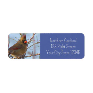 Northern Cardinal Photo-label Etiket