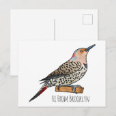 Northern flicker bird cartoon illustration briefkaart (Voorkant / Achterkant)
