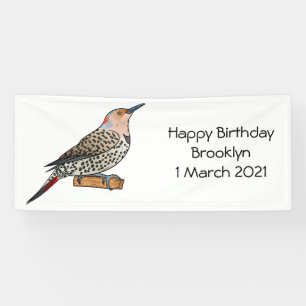 Northern flicker bird cartoon illustration spandoek