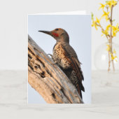 Northern Flicker van dichtbij en persoonlijk Kaart (Gele Bloem)