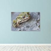 Northern Leopard frog, See-through Island; Canvas Afdruk (Insitu (Houten vloer))