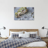 Northern Leopard frog, See-through Island; Canvas Afdruk (Insitu (Slaapkamer))