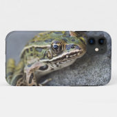 Northern Leopard frog, See-through Island; Case-Mate iPhone Case (Achterkant (horizontaal))