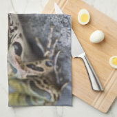 Northern Leopard frog, See-through Island; Theedoek (Quarter Fold)
