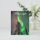 Northern Lights 2 - Carte postale (Debout devant)