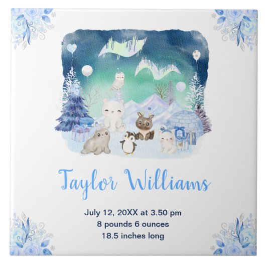 Northern Lights Arctic Animals Birth Statistics Tegeltje (Voorkant)