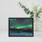 Northern Lights en Suède Carte postale (Debout devant)