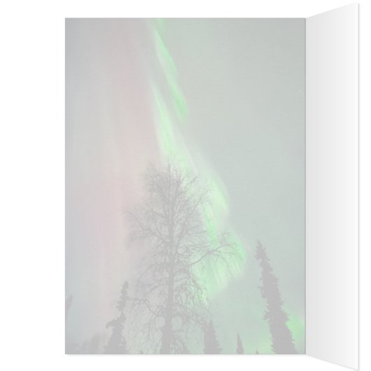 Northern Lights ll - Carte d'art de 5 pouces x 7 p (Intérieur (Gauche))