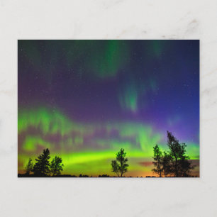 Northern Lights   Manitoba Canada Briefkaart