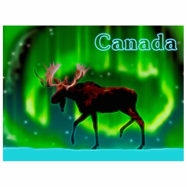 Northern Lights Moose - Canada Fotobeeldje Magneet (Voorkant)