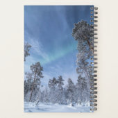 Northern Lights Norvège (Dos)