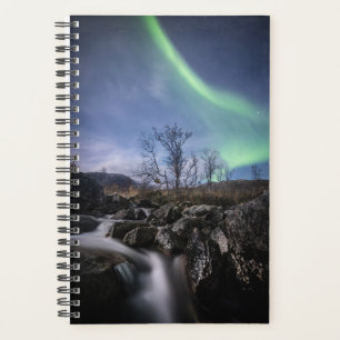 Northern Lights Norvège