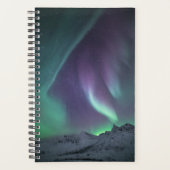 Northern Lights Norvège (Devant)